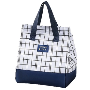 Minimalist plaid insulated lunch bag with blue and white check pattern and Thermo Lock label