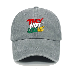 Berretto da baseball in cotone grigio lavato con ricamo graffiti THEY NOT LIKE US