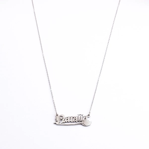 Macro shot of silver stainless steel necklace with Natalie nameplate pendant