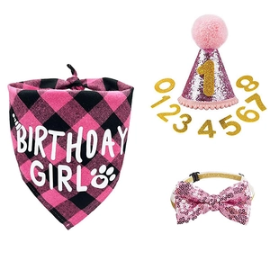 Pink and black plaid dog birthday set with sequin hat, bowtie, and birthday girl bandana