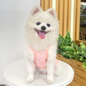 Pink breathable eyelet fabric pet vest shown on a Pomeranian puppy in a cozy home setting