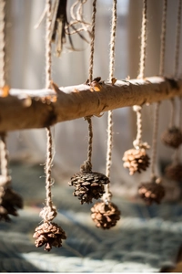 Close-up of rustic natural birch wood hanging with pine cones and hemp rope for wall decor