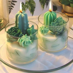 Bougies parfumées en forme de succulentes en bocaux de verre avec flamme chaleureuse