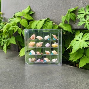 Outdoor view of a 16-grid acrylic storage box displaying various mini sea shells