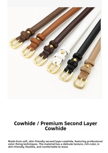 Detail of six narrow genuine leather belts with gold buckles in various earth tones
