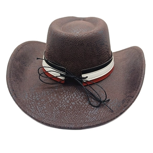 Detailansicht eines braunen Cowboyhuts mit Schlangenmuster-Textur und dreifarbigem Band