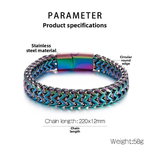 Rainbow stainless steel dragon scale bracelet with secure clasp and 220x12mm dimensions