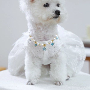 Detail of white pet lace dress with embroidered flowers and pearl necklace pendant