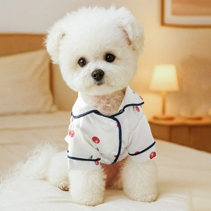 Cozy white cotton pet pajamas with red cherry print for small dogs on a warm bed