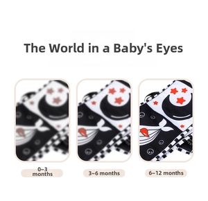 Visual simulation of newborn high contrast vision stages with black and white baby cloth book