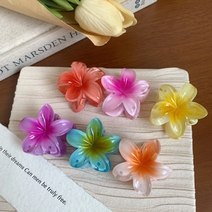 Set mit 6 bunten Plumeria-Blumen-Haarklammern aus Harz für den Sommerurlaub