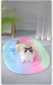 Rainbow gradient pet cooling mat for dogs and cats with ragdoll cat resting on it
