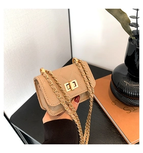 Detail shot of mini quilted crossbody bag with gold twist lock and leather chain strap