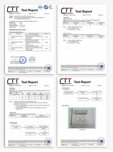 Detailed CTT quality report confirming lead and nickel-free gold stainless steel hoop earrings