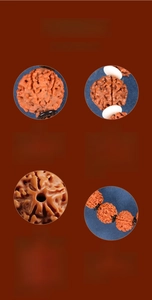 Macro details of five-petal Rudraksha beads showing natural texture and color variation