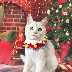Chat blanc portant un collier de Noël tricoté main avec des pompons et couleurs festifs