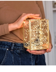 Golden minimalist glass box lantern with warm LED fairy lights held by person