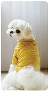Detail showing high-quality sewing process and ribbed texture on yellow dog sweater