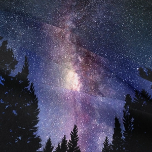 Dettaglio della trama del tessuto dell'arazzo foresta galattica con cielo stellato e pini