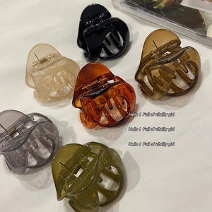 Lot de grandes pinces à cheveux en acrylique en six couleurs mates et écaille de tortue