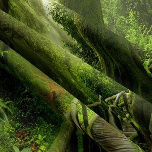 Close-up of tropical forest tapestry showing sharp print details and leaf textures