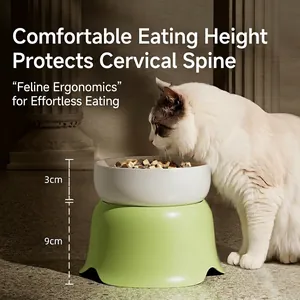 Ceramic elevated cat bowl with green base for neck protection, 12cm height for comfort