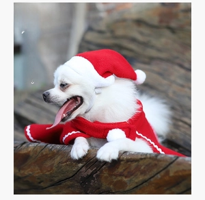 Close-up of a dog wearing a red fleece Christmas hat and cape set with white pom-poms