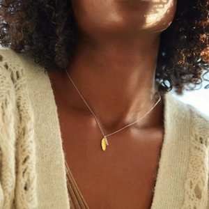 S925 sterling silver necklace featuring elegant gold and silver double feather pendants