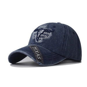 Detailed close-up of TEXAS embroidery patch and longhorn bull on vintage washed baseball cap
