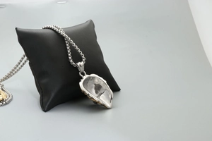 Detailed view of silver lion necklace with gold accents displayed on a black cushion