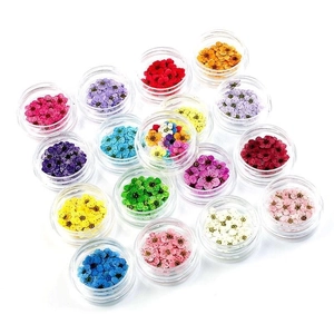 Set of 16 colorful dried flowers in round jars for Japanese nail art and DIY decoration