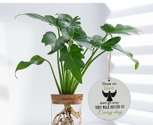 Close-up of wooden memorial ornament with angel wings hanging on plant by a window