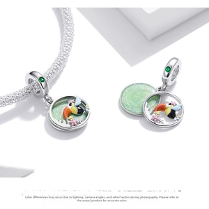 Macro view of S925 sterling silver colorful enamel toucan and star bird charm beads