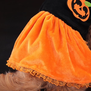 Halloween pumpkin dog dress with black top, orange pleated skirt and lace detail