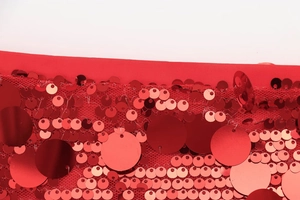 Macro shot of red sequins and mesh embroidery detail on a women's A-line skirt