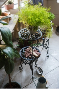 Détail d'un support de plantes vintage en fonte à deux niveaux avec motifs ornementaux