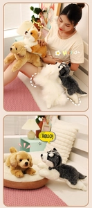 Close-up of fluffy plush dogs including Corgi and Husky in a cozy home setting