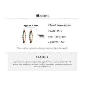 Detail view of 5.5cm rainbow hoop earrings with colorful zircon stones and silver needle