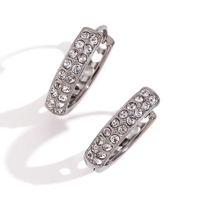 Classic silver stainless steel hoop earrings with double row of micro-pave zircons