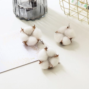 Pink natural dried cotton flowers set on table for Christmas interior home decoration