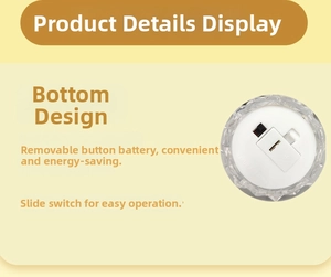 Detail of the iceberg night light base with toggle switch and button cell battery compartment