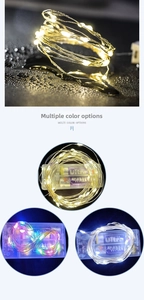 Waterproof LED copper wire string lights with battery box in warm white and multicolor