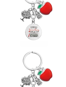 Detail view of silver teacher keychain with apple, tree, owl charms and engraved quote