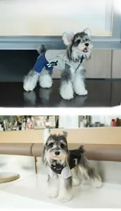 Gilet pour chien de style extérieur avec broderie active et poches fonctionnelles