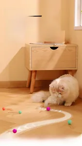 Close-up of colorful silent silicone pet balls with feathers on a wooden floor