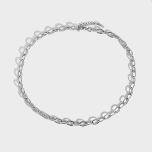 Dettaglio della catena d'acciaio argento con maglie opache e chiusura a moschettone