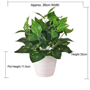 Artificial Pothos plant in white pot with dimensions Height 32cm and Width 26cm