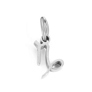 Macro detail of a silver-toned Capricorn zodiac pendant with a polished metallic finish