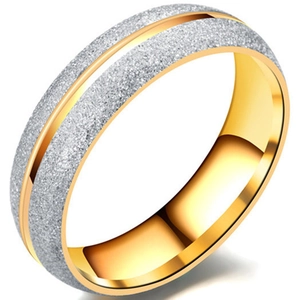 6mm frosted 316L titanium steel ring with silver matte finish and gold polished edges