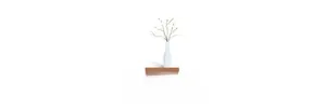 Close-up of minimalist white ceramic vase with green sprigs for Christmas wall decor
